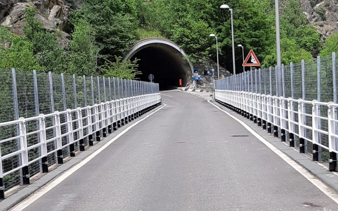 Conclusi gli interventi di protezione sui ponti per il contrasto agli atti anticonservativi