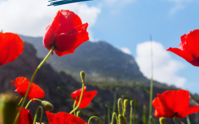 Buona Festa della Liberazione