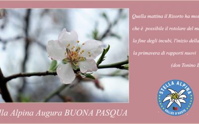 Stella Alpina Augura Buona Pasqua