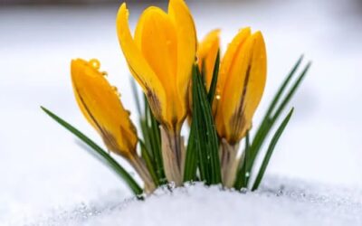 27 Gennaio – Giornata della memoria