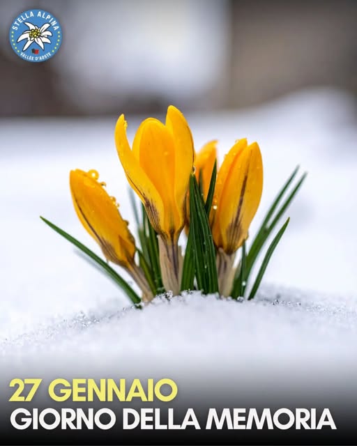 27 Gennaio – Giornata della memoria