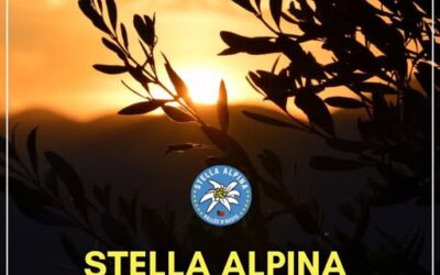 Stella Alpina augura Buona Pasqua